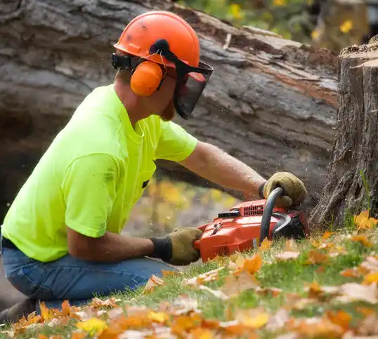 tree services Church Point